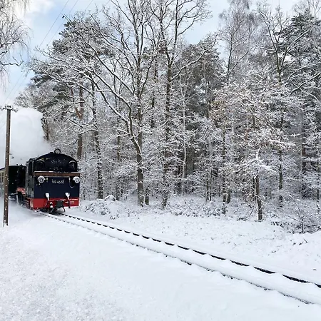 Gruene Duene Whg 21 - Meerblick Бабе